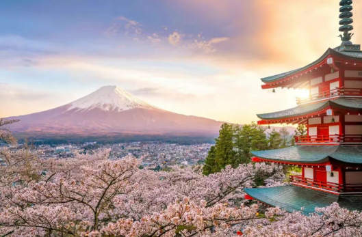 2025【精益生产+Karakuri 改善大会】一场关于“智慧”与“循环”的深度研学