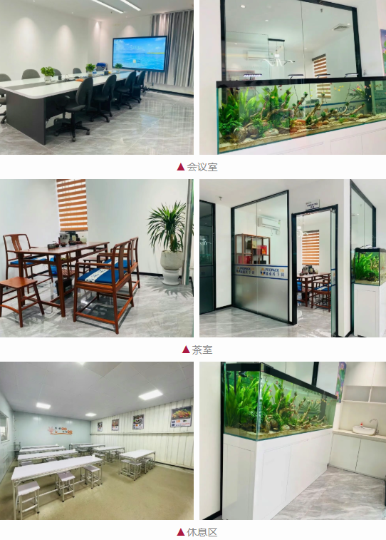 越南兴千田办公空间焕新升级3 越南兴千田办公空间焕新升级3